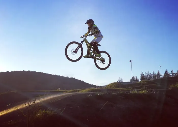 Bergkristall direkt am Bikepark und Skigebiet, 2 Schlafzimmer, Terrasse, abschließbarer Keller